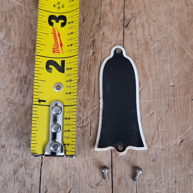 SOLD - Gibson Truss Rod Cover Les Paul Burst ES With Screws 1959