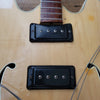 SOLD - Mosrite Celebrity Long Scale Hollowbody 4 String Bass 1968