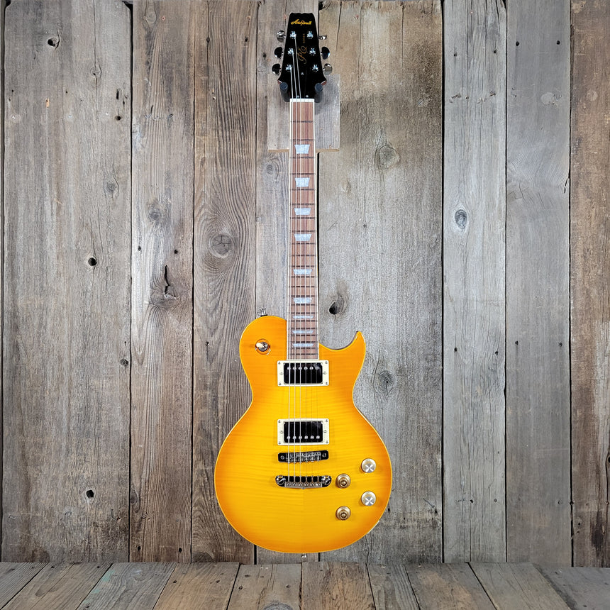 Aria Pro II PE-350PG Les Paul alternative