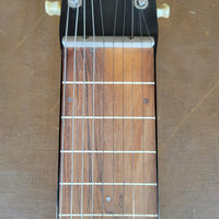 SOLD - Epiphone Alkire E Harp 10 String Lap Steel 1946