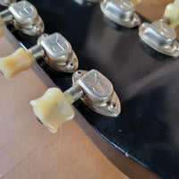 SOLD - Epiphone Alkire E Harp 10 String Lap Steel 1946