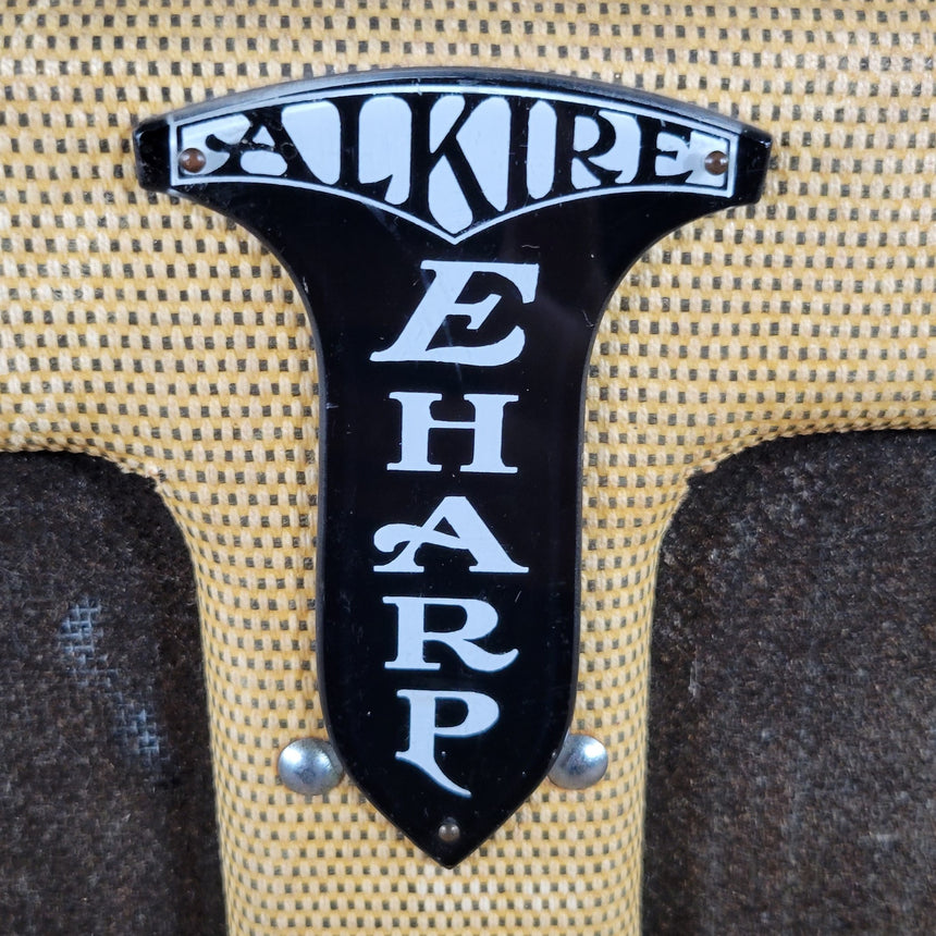 Epiphone Alkire E Harp 10 String Lap Steel with Valco Made Amp 1946