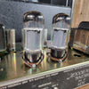 Mesa Boogie Son of Boogie 50 Watt 1983