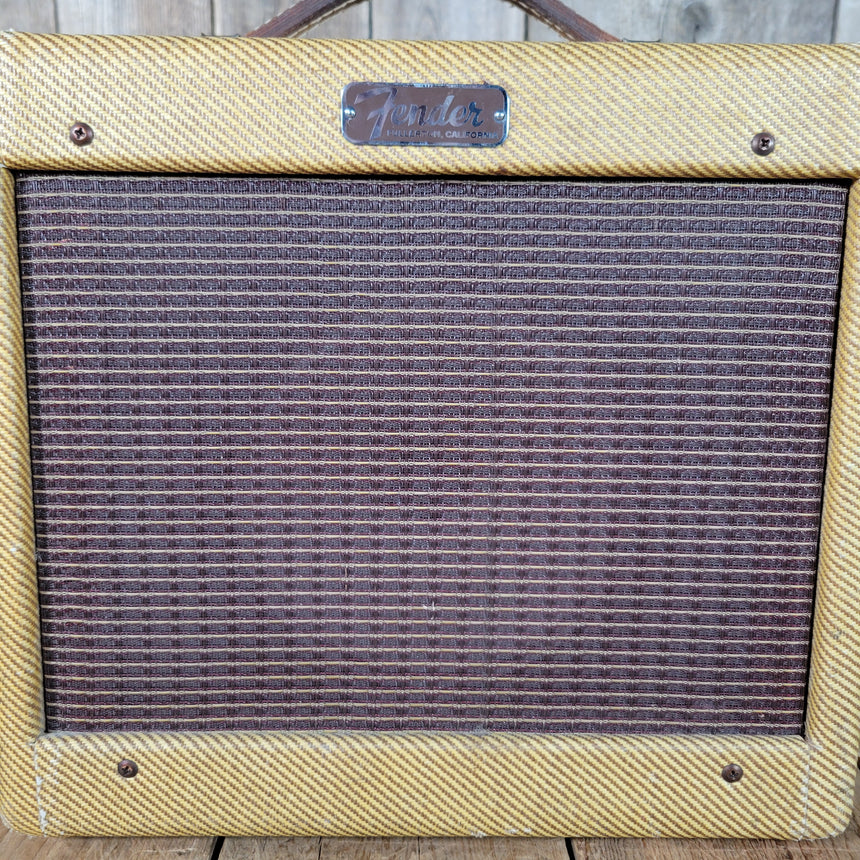 Fender Champ 5F1 1961 - The Cleanest One