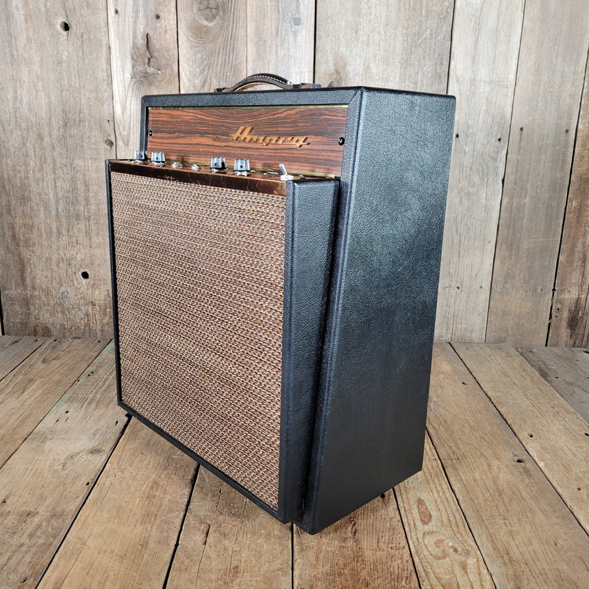 Ampeg J-12 R Reverbojet GoldenGlo 1967