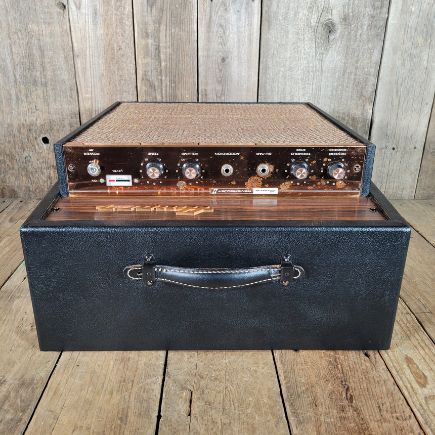 Ampeg J-12 R Reverbojet GoldenGlo 1967