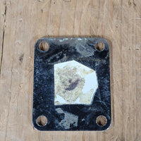 Fender Neck Plate F Logo 1966 Telecaster Stratocaster Jazzmaster Bass