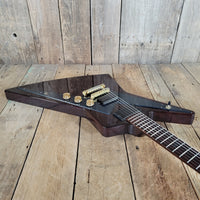 Gibson Reverse Explorer – Limited “Guitar of the Month” Edition 2008