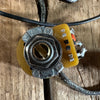 DeArmond Dynasonic Pickup Gretsch 1950s With Pots and Jack