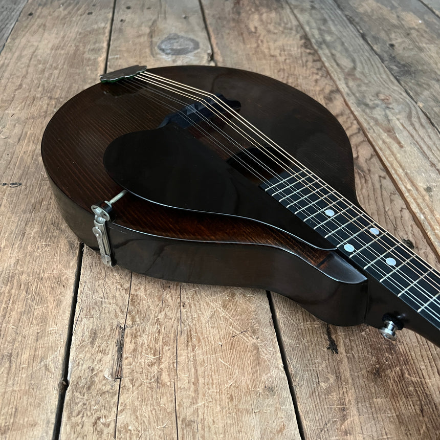 The Gibson Mandolin-Guitar Co. Type A-Jr Mandolin Snakehead Vintage 1925