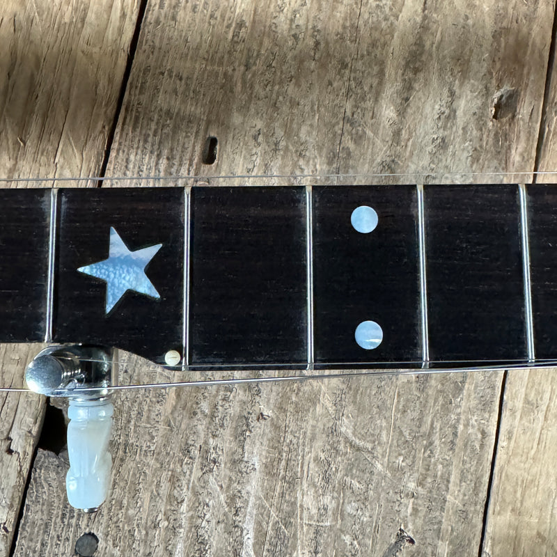 SOLD - Bart Reiter Standard Banjo 2014 Mahogany Stain