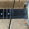 SOLD - Bart Reiter Standard Banjo 2014 Mahogany Stain