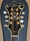 SOLD - Flatiron F-5 Artist Mandolin 1998