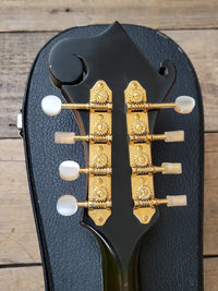 SOLD - Flatiron F-5 Artist Mandolin 1998