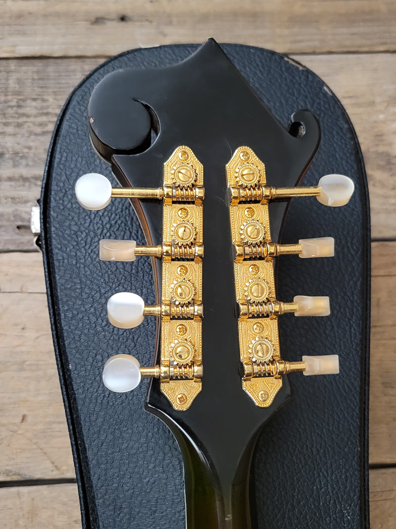 SOLD - Flatiron F-5 Artist Mandolin 1998