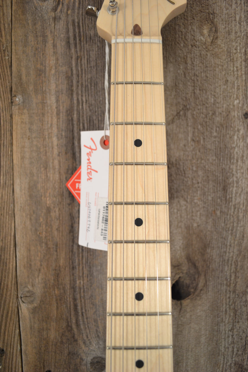 SOLD - Fender Eric Clapton Signature Stratocaster Pewter MINT NOS 2019