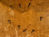 SOLD - Fender Stratocaster 1957