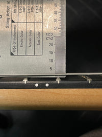 SOLD - Alembic 2006 Custom "Little Darling" ILG6