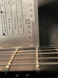SOLD - Alembic 2006 Custom "Little Darling" ILG6