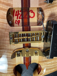 SOLD - Alembic 2006 Custom "Little Darling" ILG6