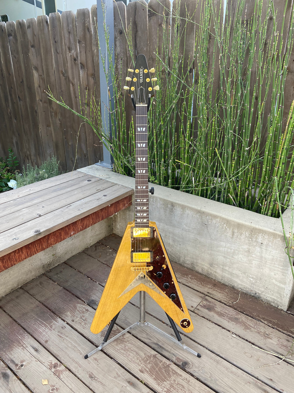 SOLD - Hamer Vector GVKS Korina Flying V 2004 Brazilian