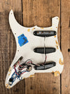 Squier Stratocaster pickups, harness on tortoise pickguard