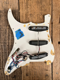 Squier Stratocaster pickups, harness on tortoise pickguard