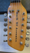 SOLD - Vox Mark XII Acoustic 1965